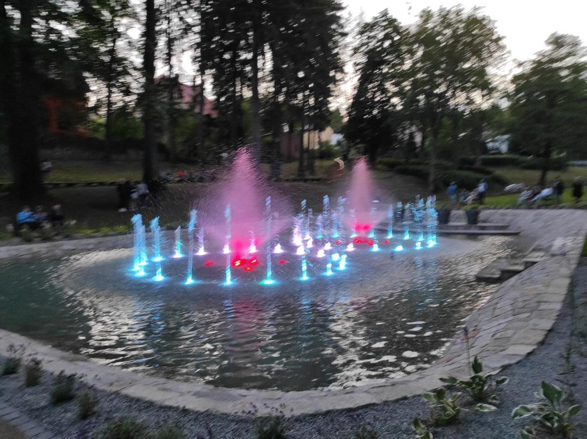 Apartament Pod Jalowcem Gory Sowie 533-543-732 Jedlina-Zdroj Bagian luar foto
