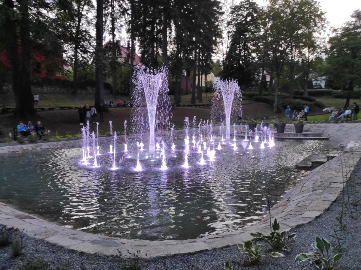Apartament Pod Jalowcem Gory Sowie 533-543-732 Jedlina-Zdroj Bagian luar foto